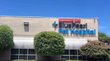 An exterior photo of the signage at BluePearl Pet Hospital in Fresno, CA.