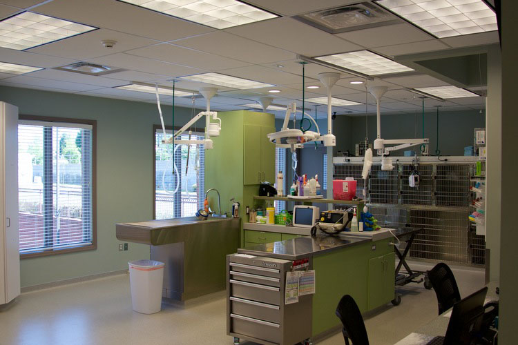 Interior photo of Johns Creek Hospital