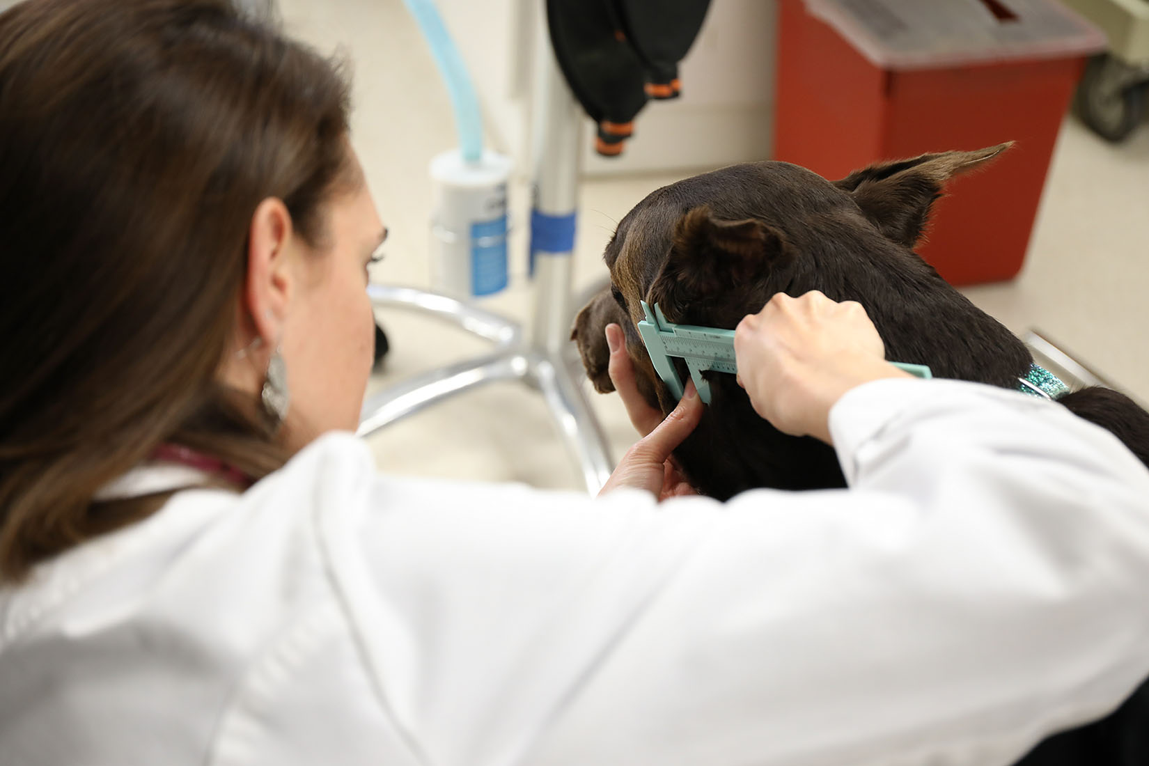 A multicenter pivotal field study to confirm the effectiveness and