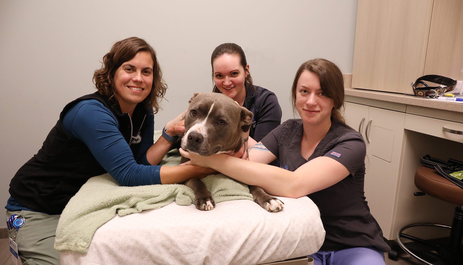 When Kindness Makes a World of Difference - BluePearl Pet Hospital