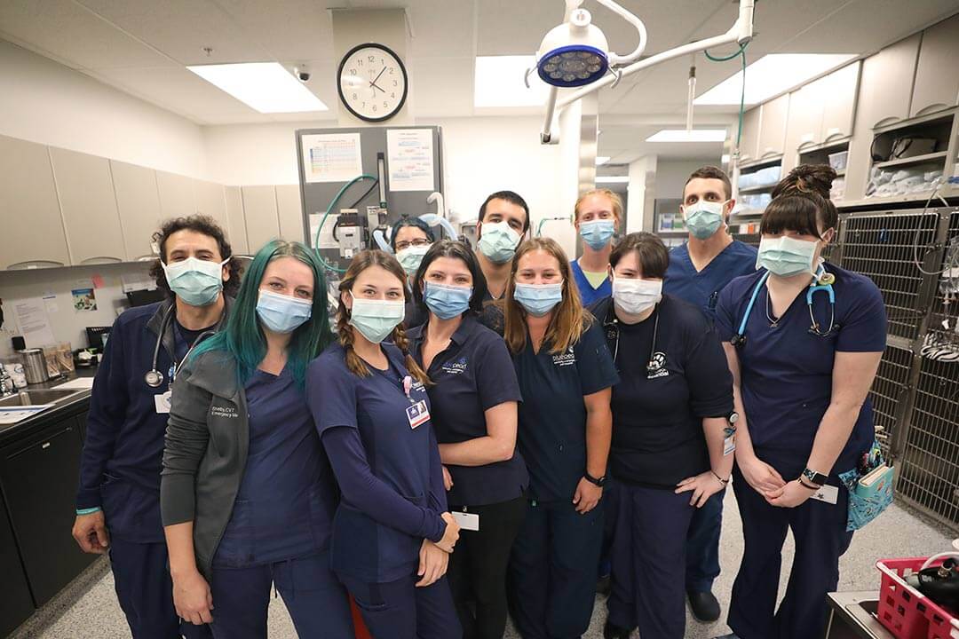 A hospital's ER team gather for a photo.