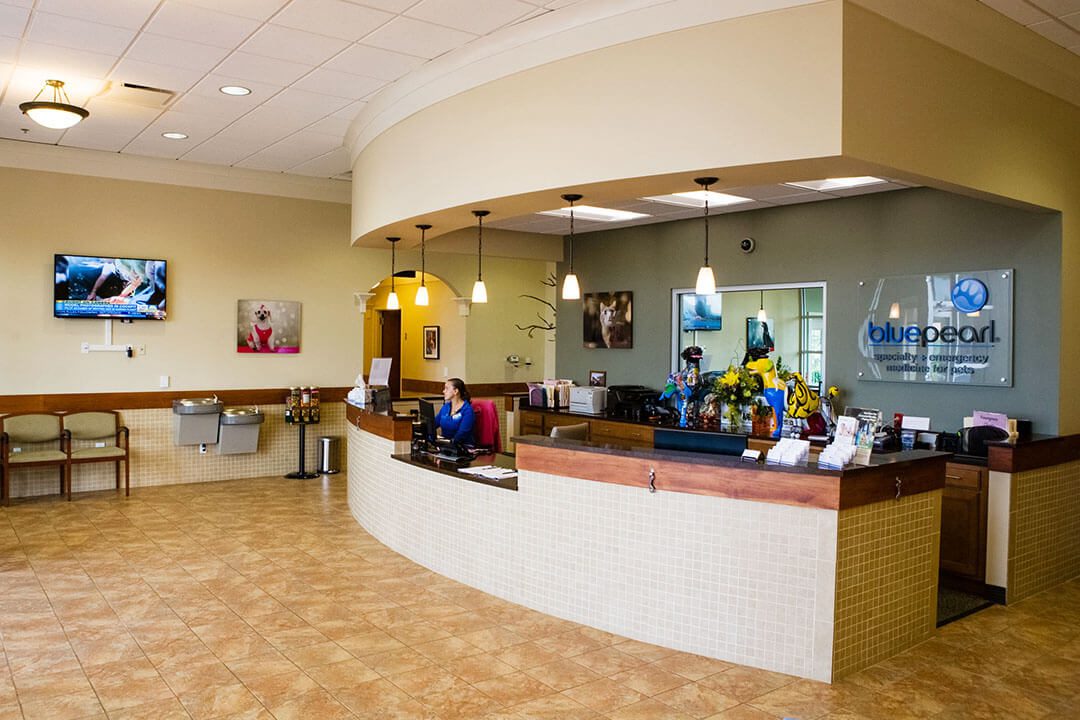 An interior view of the front desk of the BluePearl Pet Hospital in Franklin.