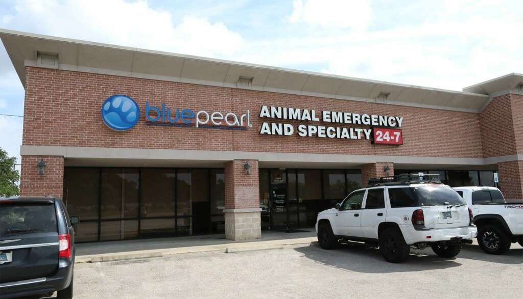 Exterior view of the BluePearl Pet Hospital, 24 hour vet in Katy, TX.