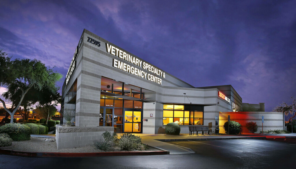 BluePearl Pet Hospital Scottsdale AZ