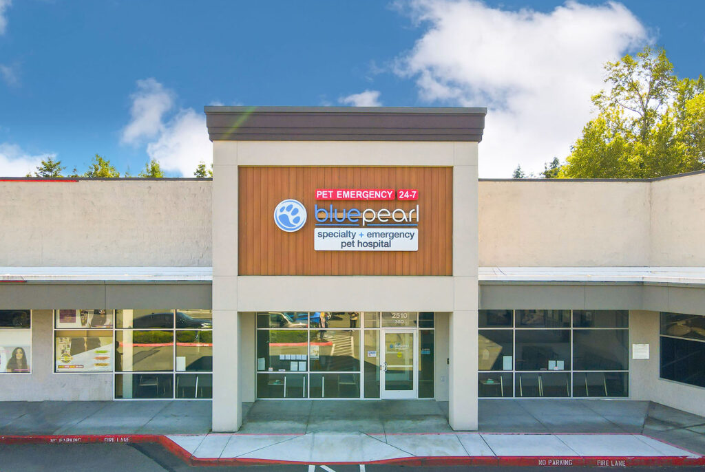 An exterior view of the front of the BluePearl Pet Hospital in Lakewood, WA.