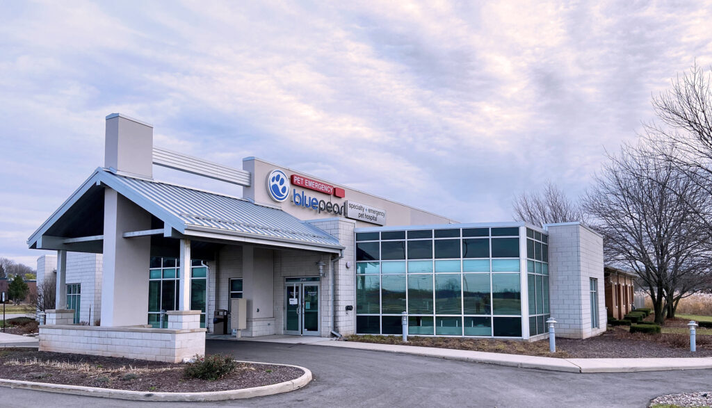 BluePearl Pet Hospital Green Bay, WI
