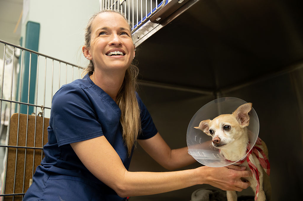 BluePearl Vet Assistant smiling while kneeling down to adjust a collar on a dog.