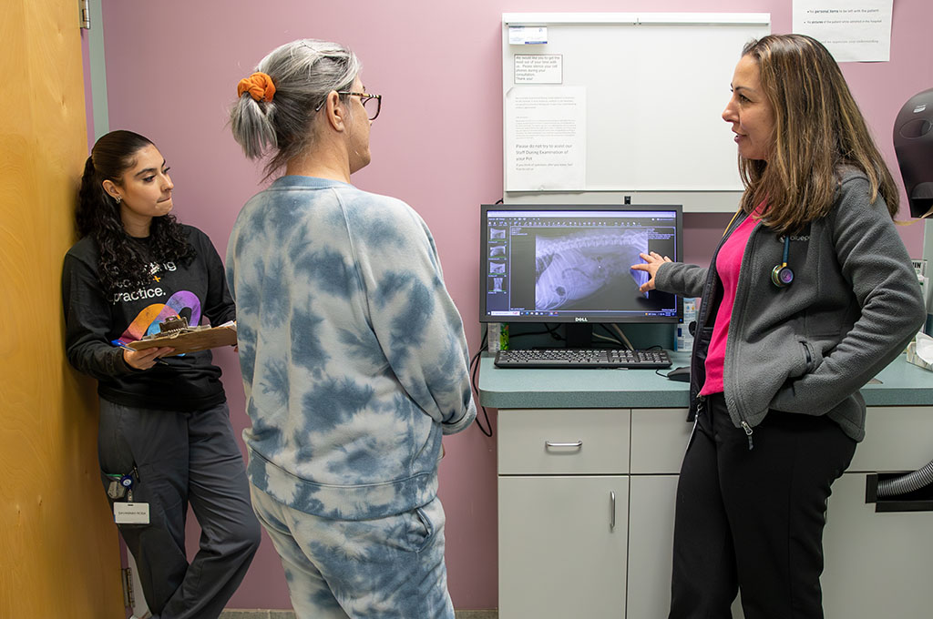 Dr. Leslie Thomas, board-certified veterinary surgeon, explaining a patient's images to a client.