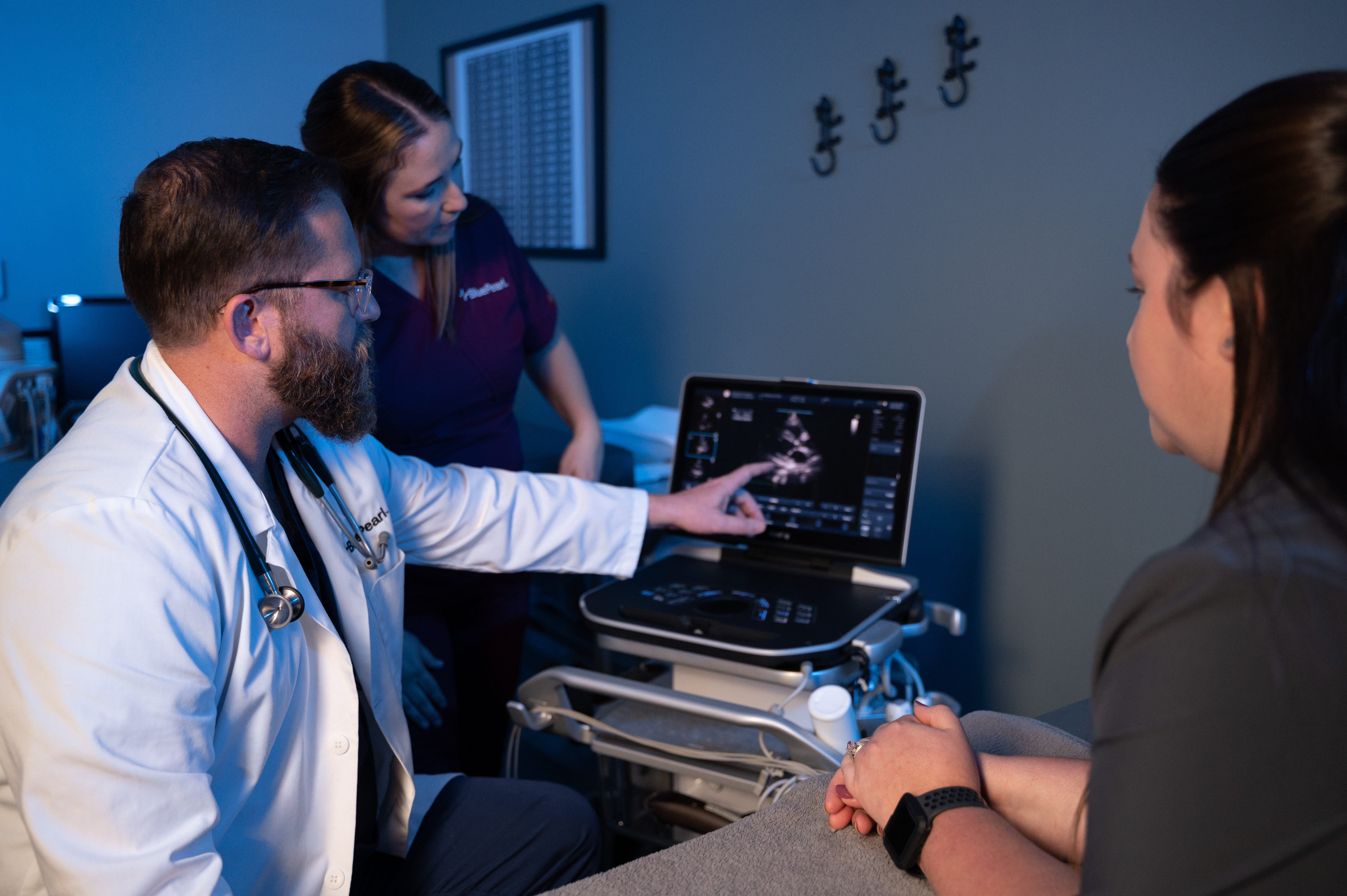 A veterinarian and two technicians review imaging results.