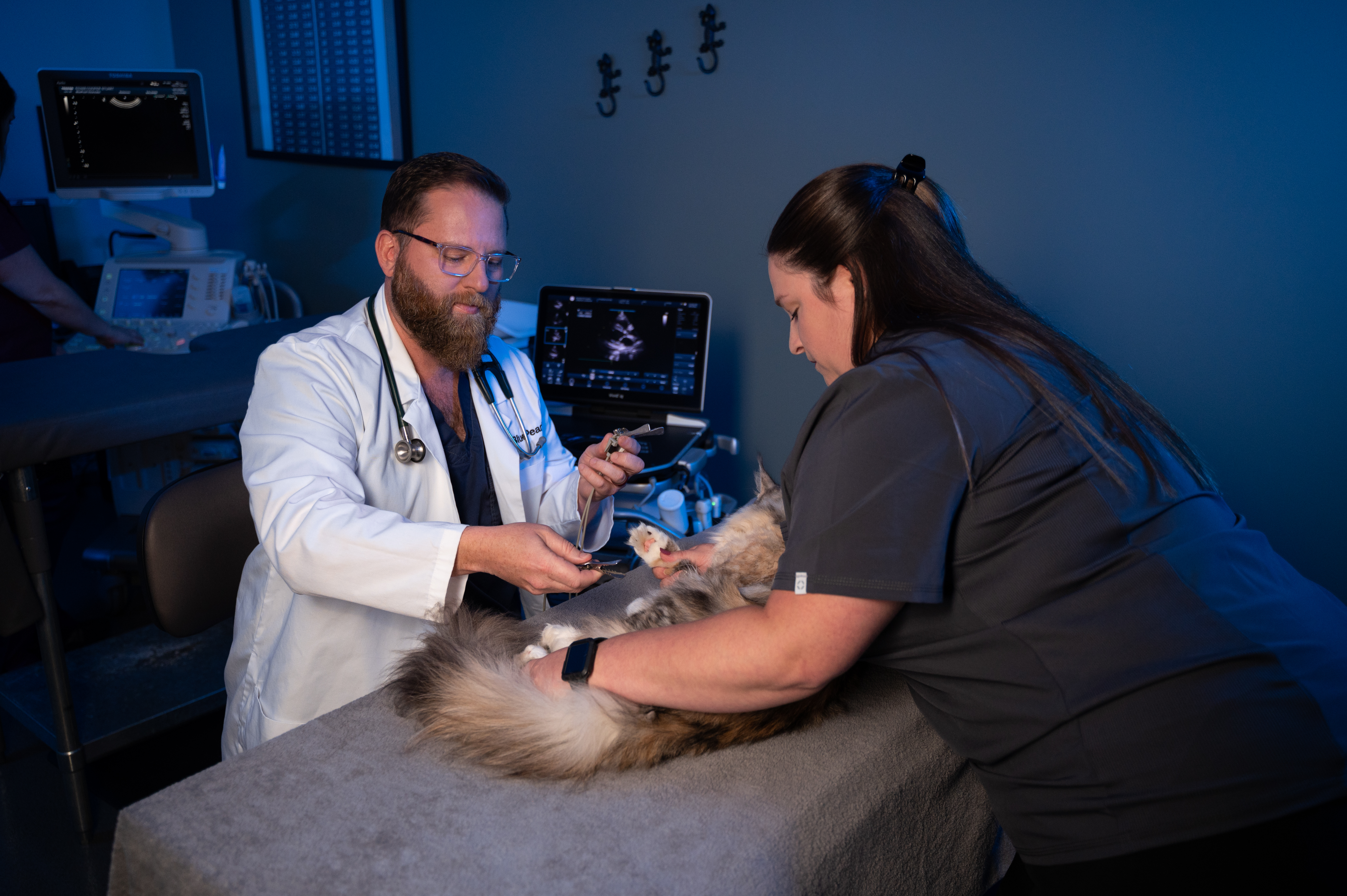 A vet tech assists a veterinarian while they care for a patient.