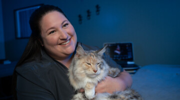 A vet tech snuggles a cat in an exam room.