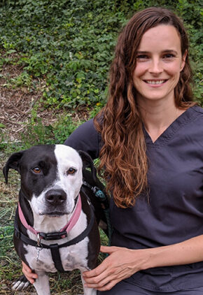 BluePearl Pet Hospital | Christiana, DE | Our Vets