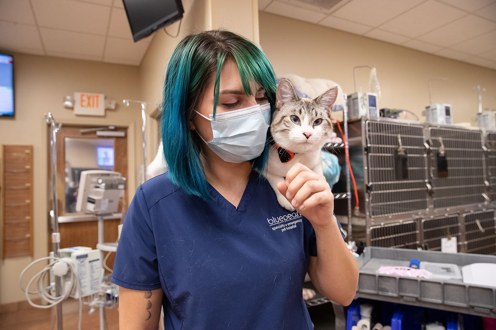 Veterinary technician holding a cat.