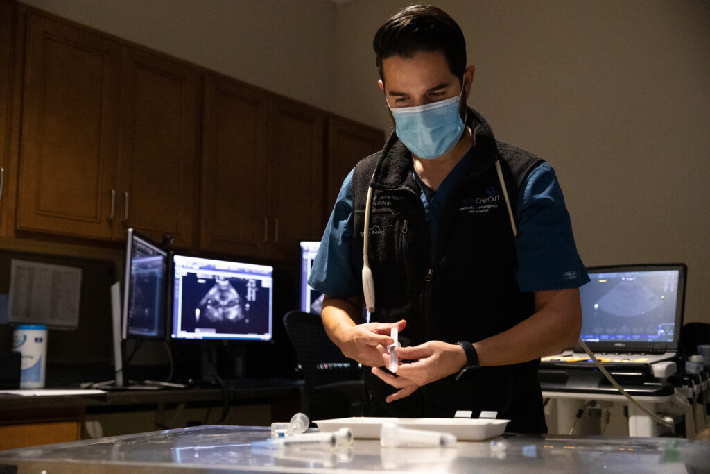 A veterinarian prepares vials of medication.