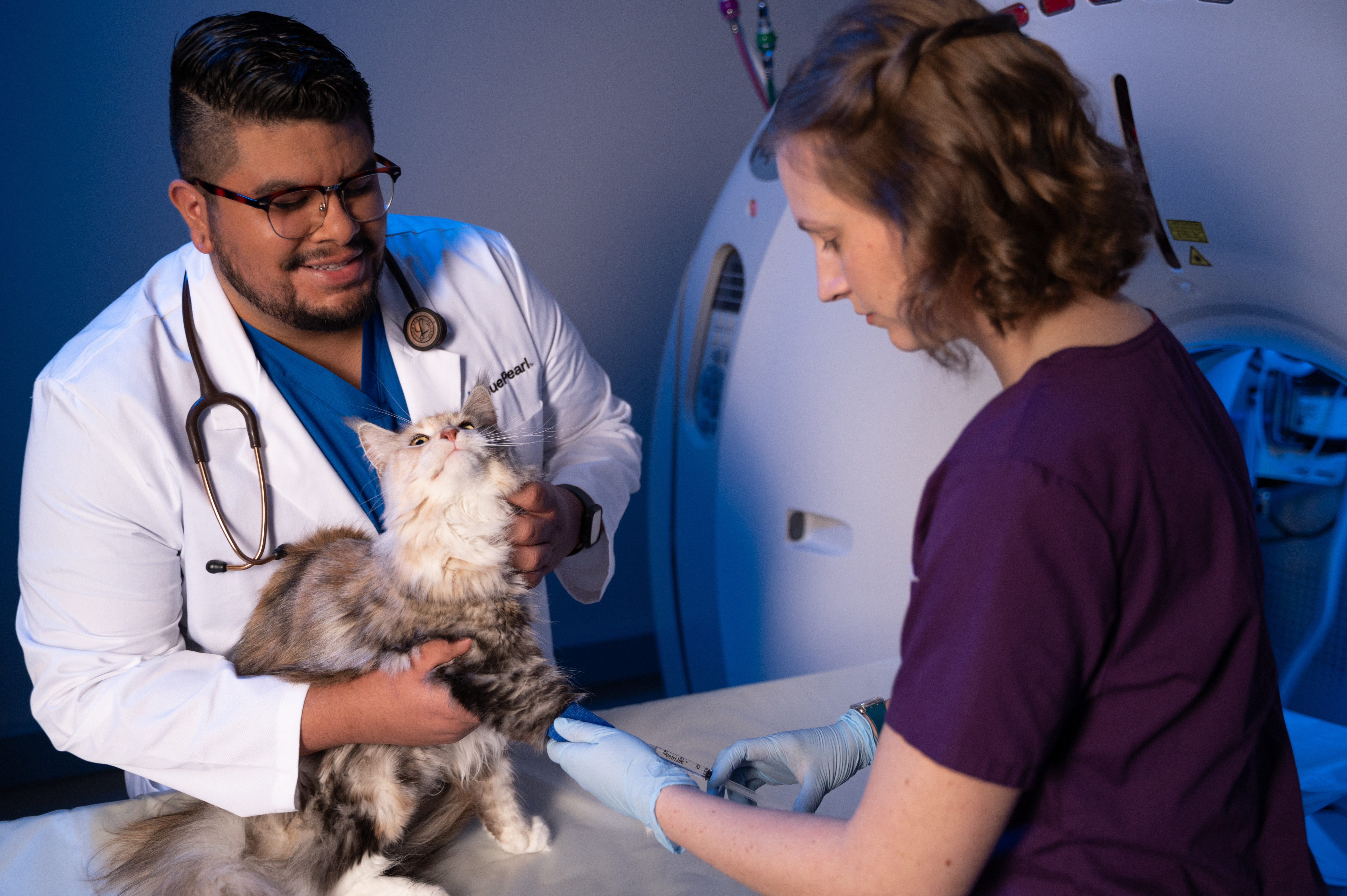 A veterinarian holds a patient while a technician adminsters fluids.