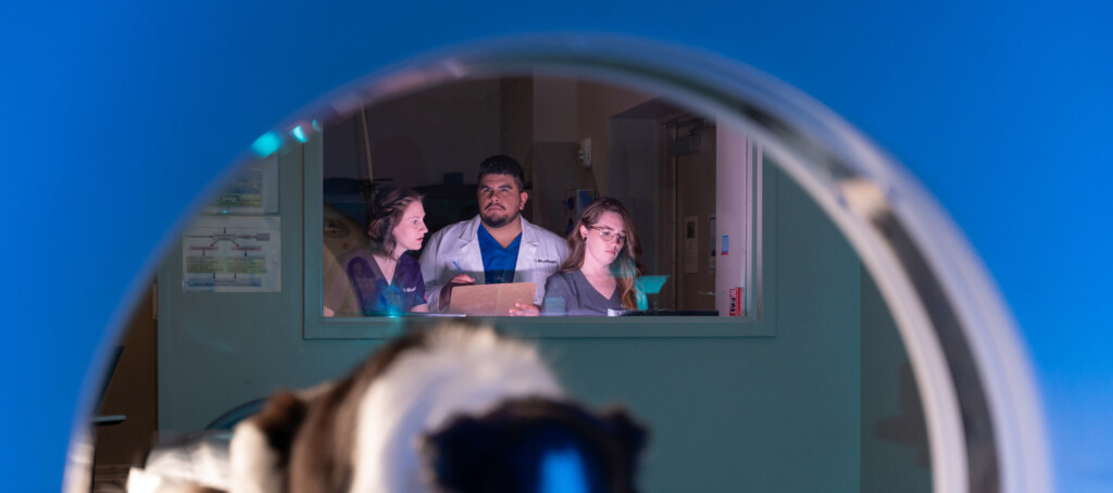 BluePearl Franklin Relocating to Expanded Location - BluePearl Pet Hospital