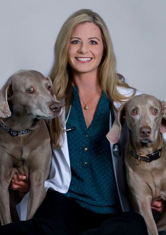 Dr. Mirae Wood smiles for a professional photo with her two Weimaraners on either side of her. She is wearing a turquoise blouse, her white coat and has a stethoscope around her neck.