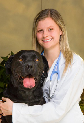 Dr. Alison Matheney is an emergency medicine veterinarian at BluePearl Pet Hospital.