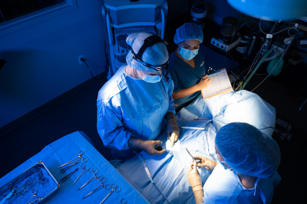 A veterinarian and two technicians wearing scrubs and protective gear perform surgery on a patient.