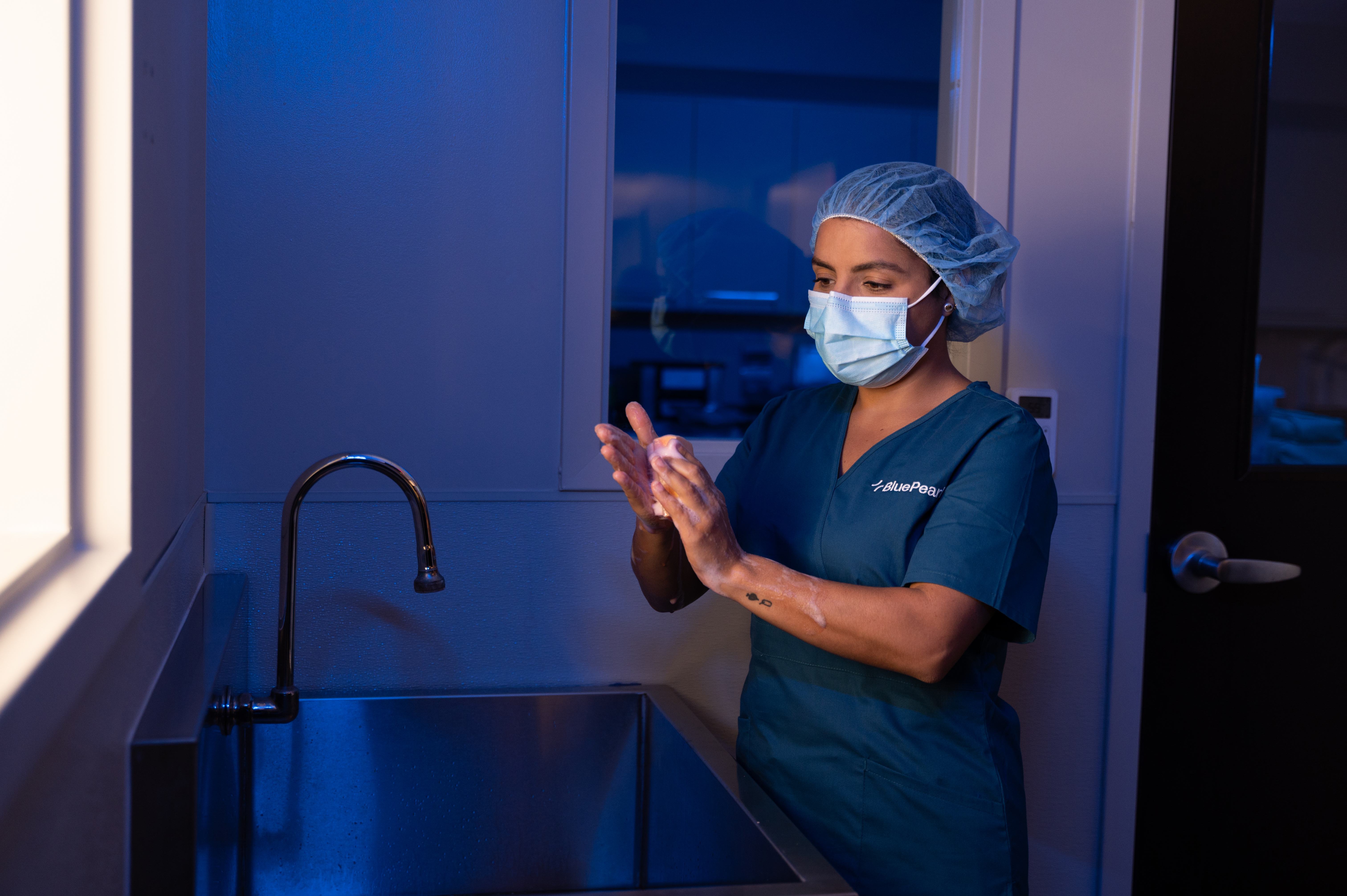 A veterinarian in scrubs and protective gear scrubs in before surgery.