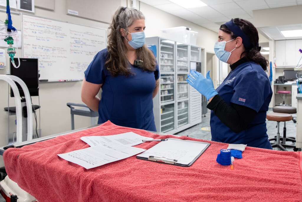 A veterinarian and a vet tech in scrubs and protective gear discuss a case.
