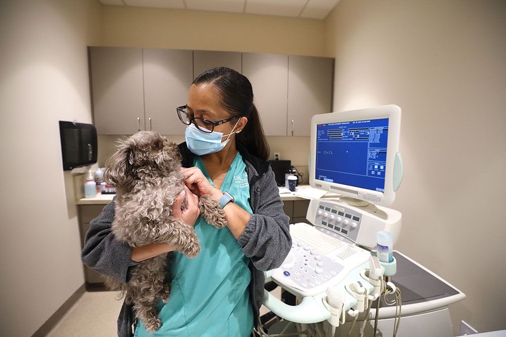A veterinary technician with a small dog.