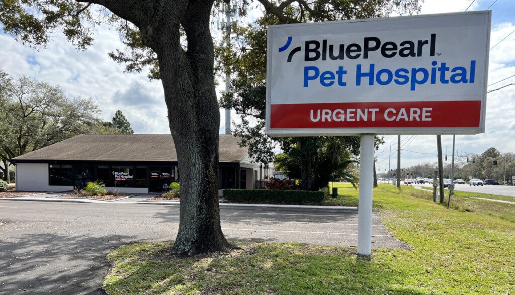The exterior of BluePearl Pet Hospital urgent care in Carrollwood, Tampa, Florida.