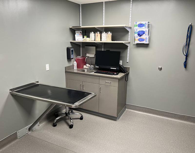 A patient exam room at BluePearl Pet Hospital in Carrollwood, Tampa, Florida.