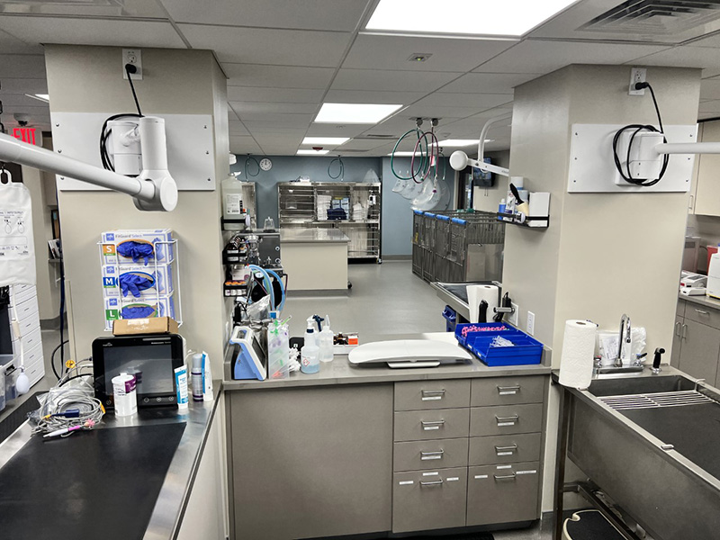 A veterinary treatment room with equipment, tools, and medical supplies.