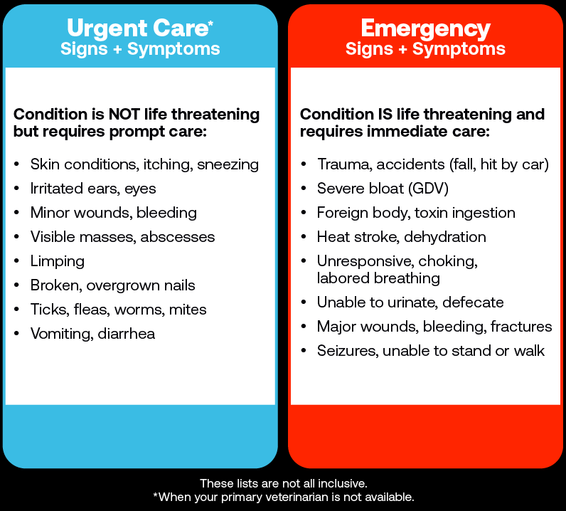 A graphic shows the signs and symptoms that indicate when a pet should be taken to see an urgent care vet and when they should be taken to a veterinary emergency hospital.
