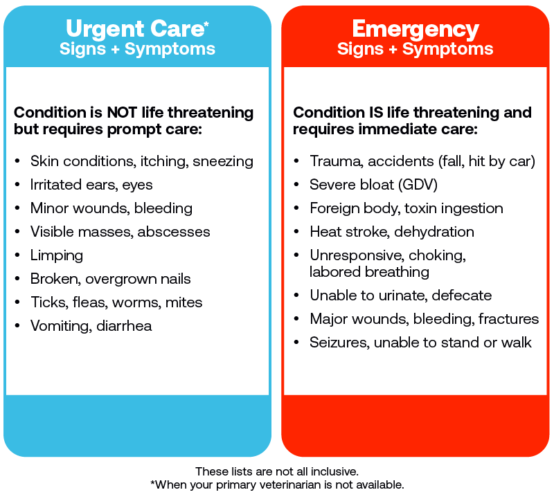 Urgent care hot sale veterinary