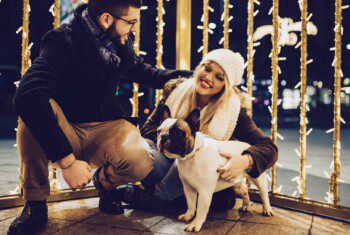 Two people in winter wear squat next to a small dog surrounded by holiday lights.