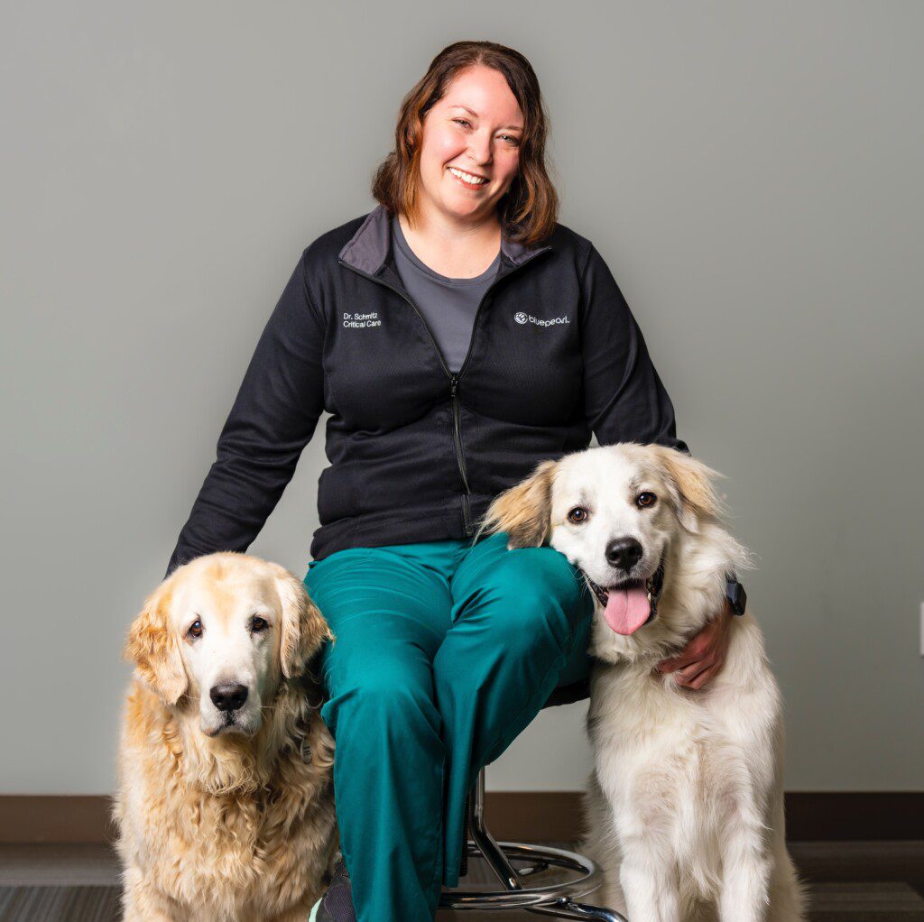 Headshot of Katrina Schmitz, DVM, DACVECC, critical care specialist at BluePearl Pet Hospital in Tacoma, WA.