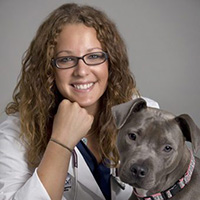 Dr. Lauren Harris is BluePearl's Regional Vice President of Medicine for the Central region.