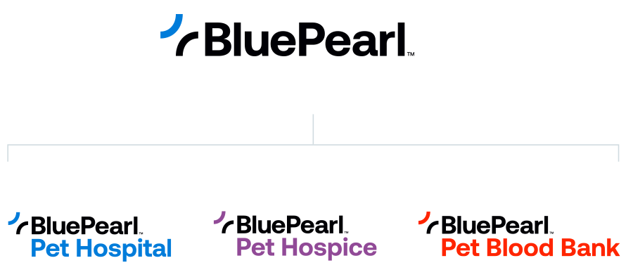 Hierarchy graphic shows the BluePearl, BluePearl Pet Hospital, BluePearl Pet Hospice, and BluePearl Pet Blood Bank logos.