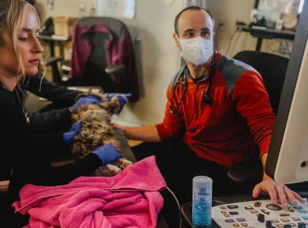Dr. Feldgreber smiles while examining a patient