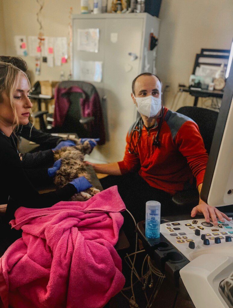 Dr. Feldgreber and staff use equipment to diagnose a patient.