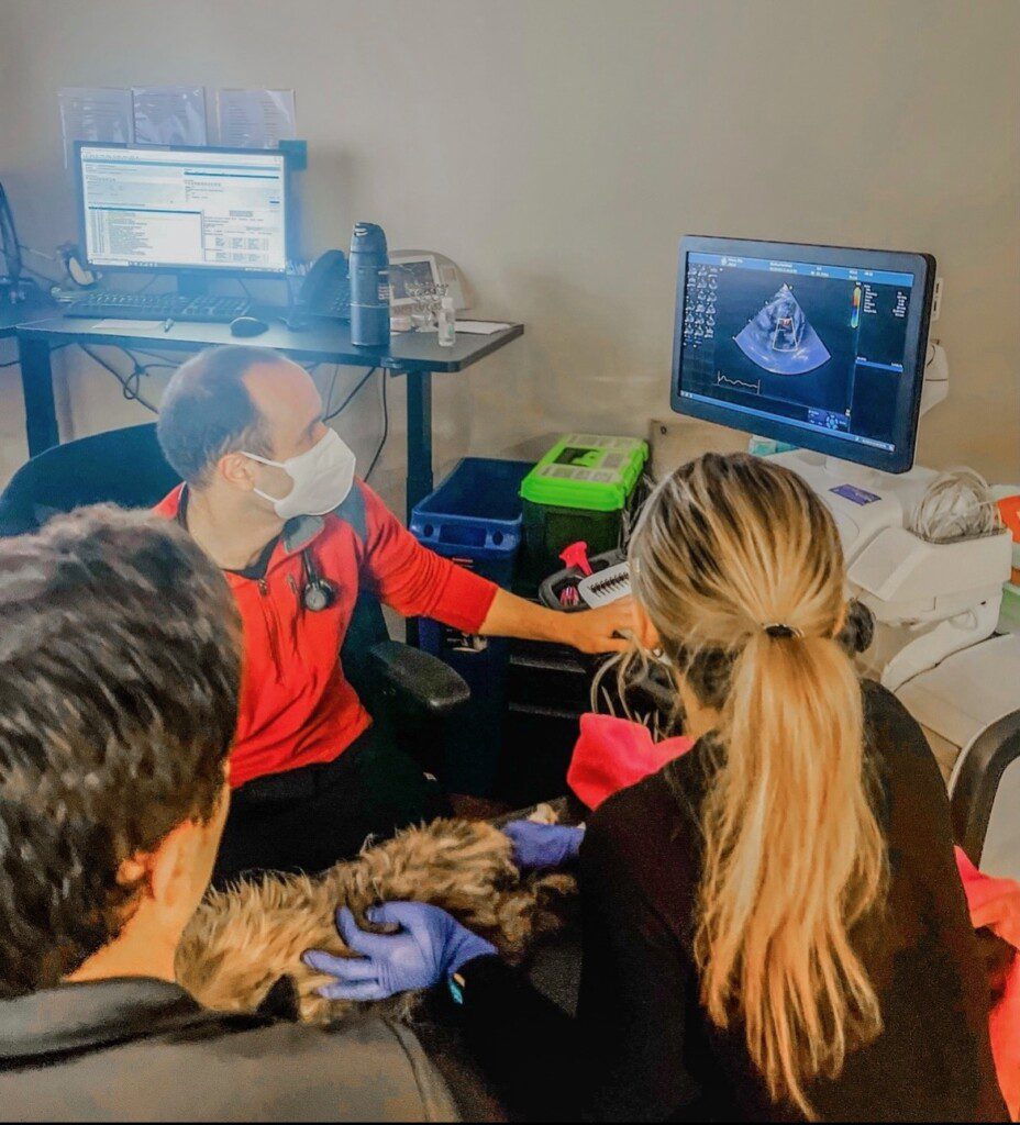 Dr. Feldgreber and staff examine an ultrasound on a computer screen.