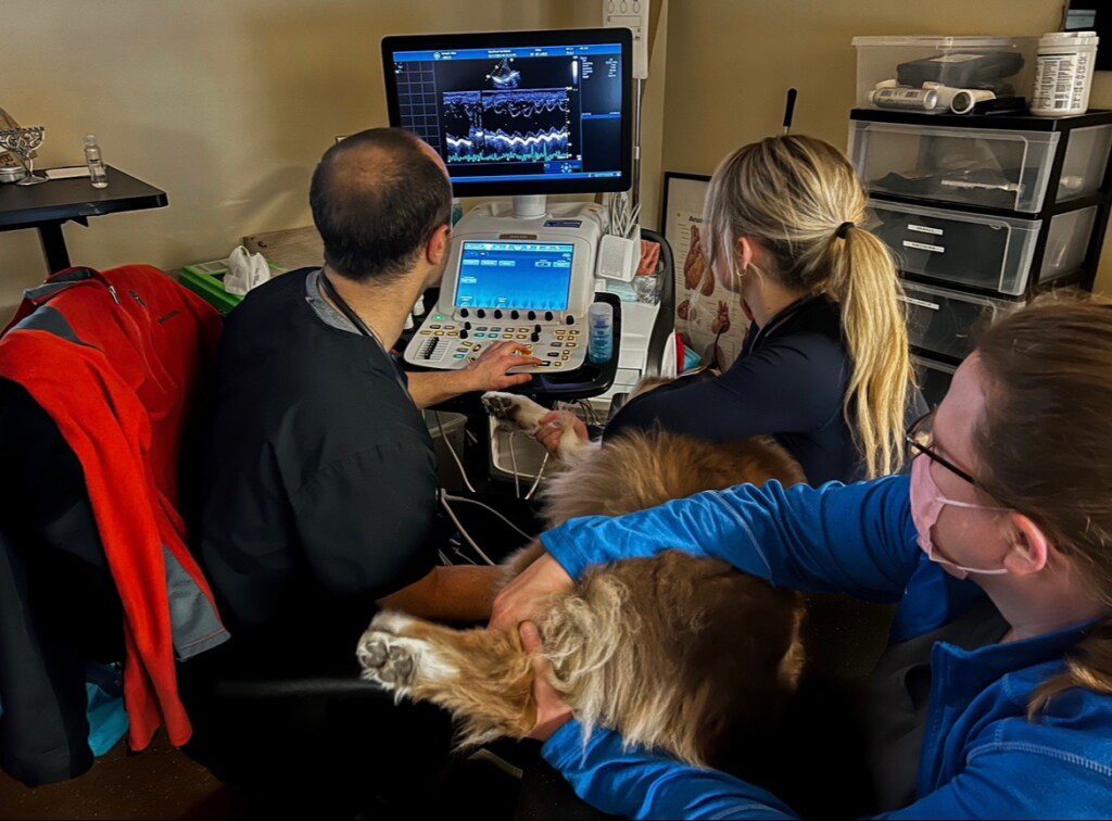 Dr. Feldgreber and staff use diagnostic equipement on a patient.