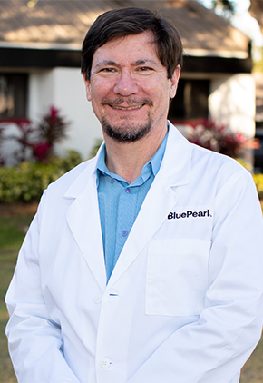 Dr. Callum Hay is a board certified veterinary surgeon at BluePearl Pet Hospital.