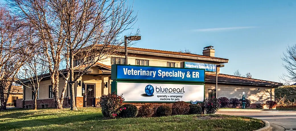 BluePearl Pet Hospital | Lee's Summit, MO | Emergency Vet
