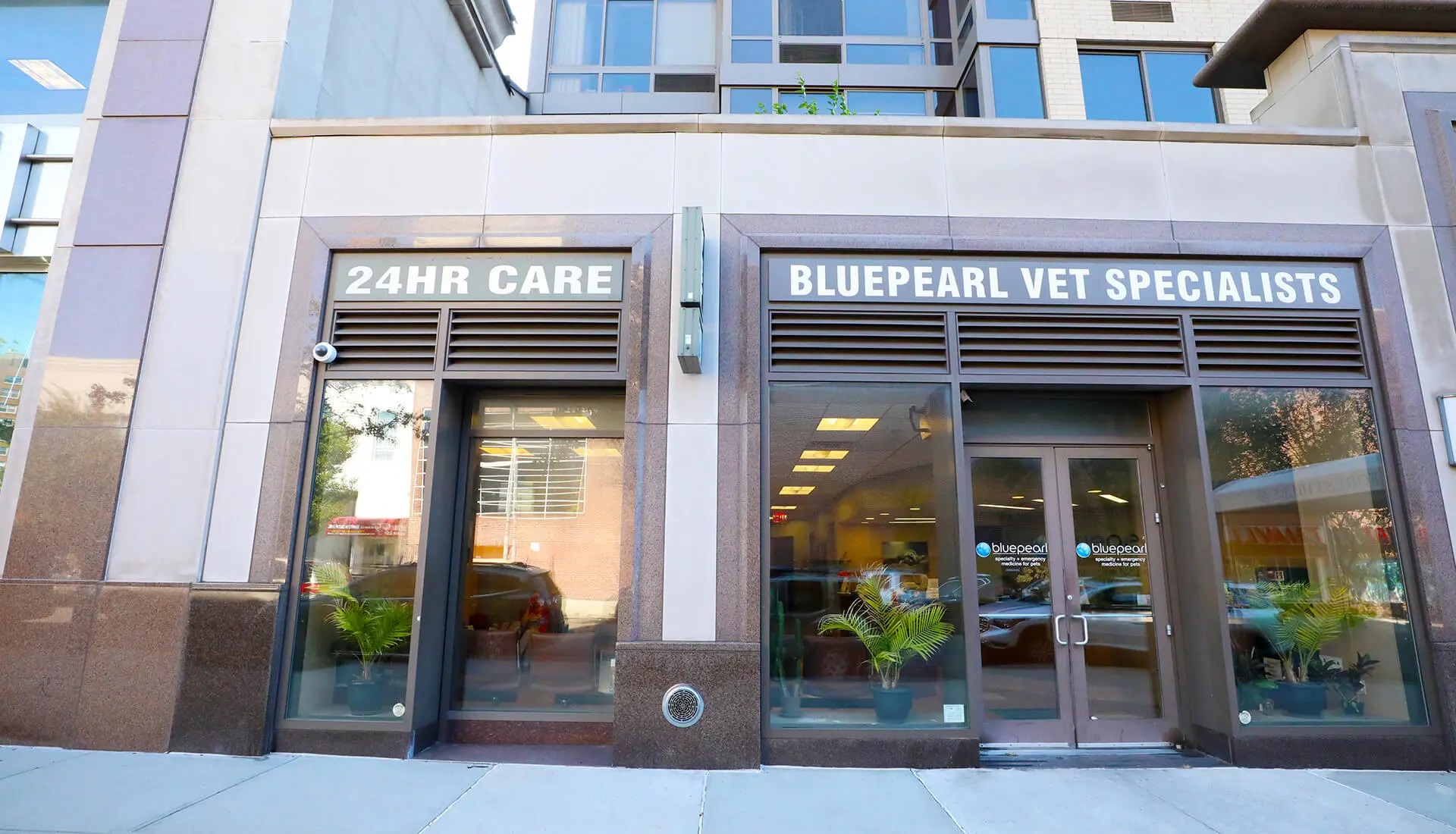 BluePearl Pet Hospital | Forest Hills, Queens, NY | Emergency Vet