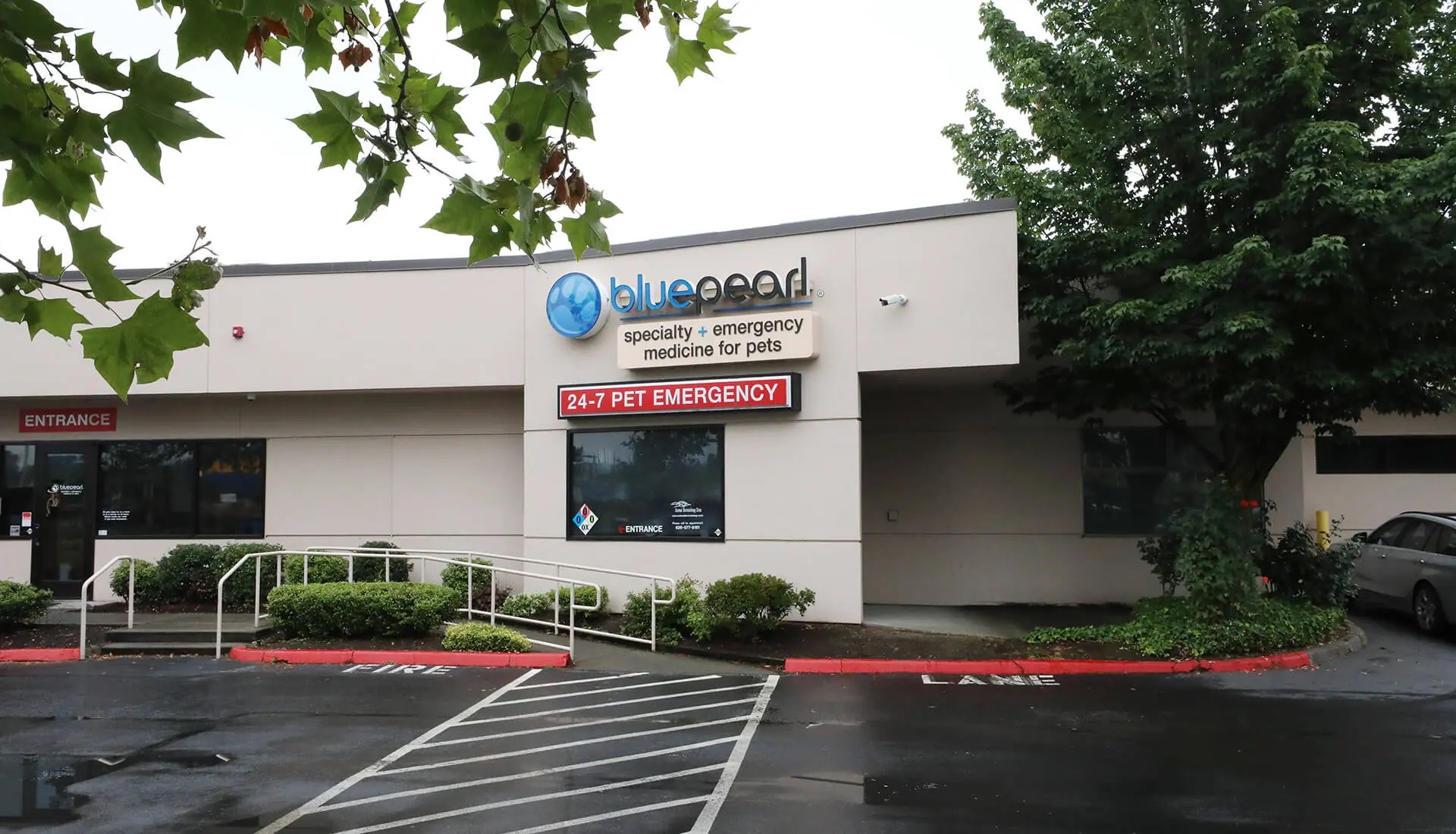 BluePearl Pet Hospital | Renton, WA | Emergency Vet