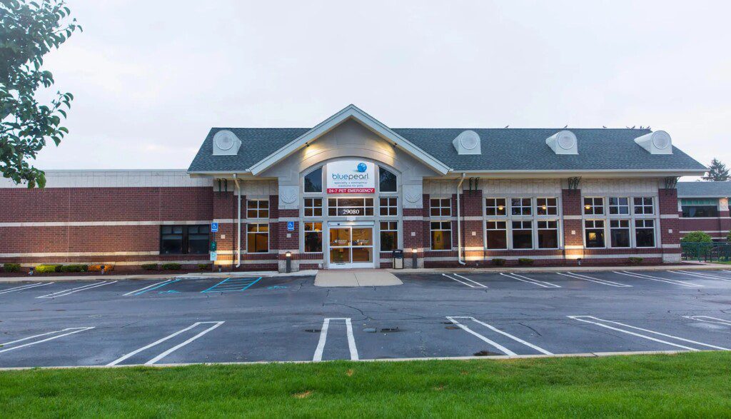 Exterior view of BluePearl Pet hospital in Southfield, Michigan.
