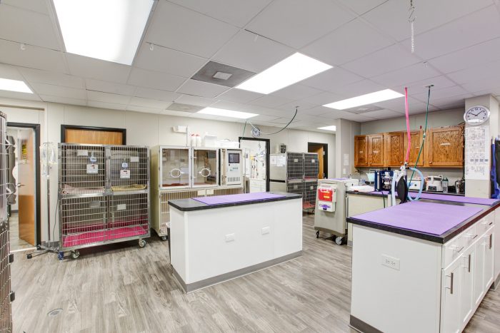 Interior of the Denver Animal Emergency BluePearl Pet Hospital.