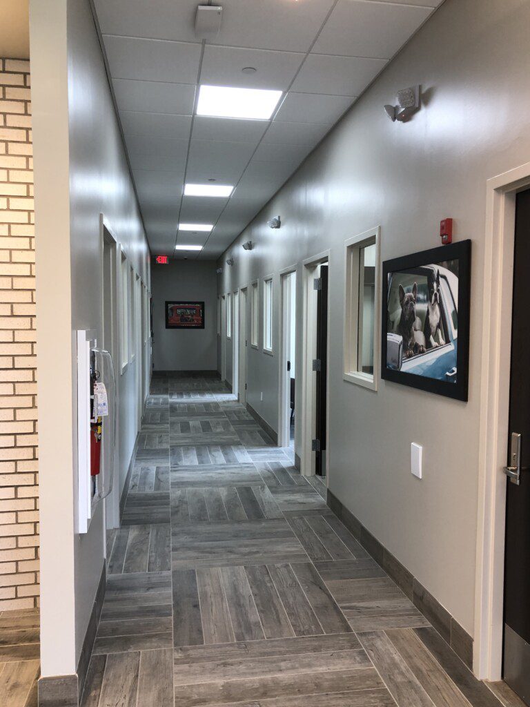 An interior view of the expansive exam room hallway of the BluePearl in Nashville.