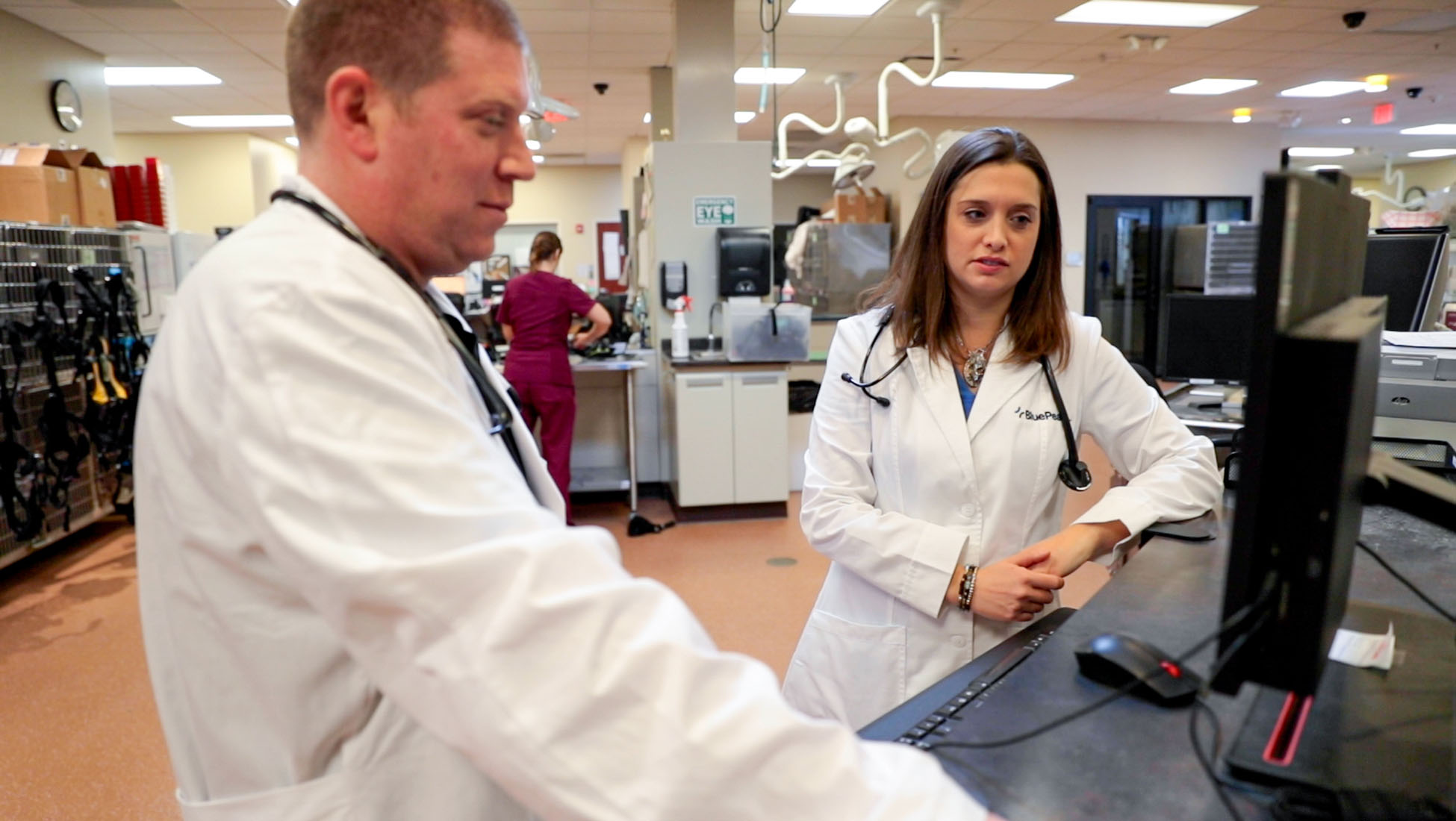 Dr. Linda Hyatt Veterinary Neurologist BluePearl Pet Hospital