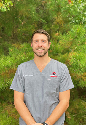 Dr. Joseph O'Hara is an emergency medicine veterinarian at BluePearl Pet Hospital in Lake Norman, NC.