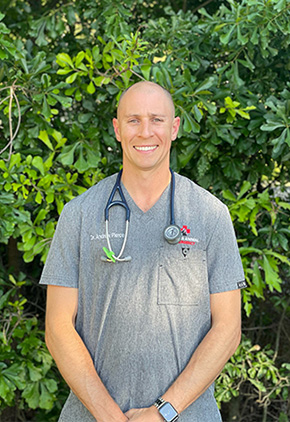 Dr. Andrew Pierce is an emergency medicine veterinarian at BluePearl Pet Hospital in Lake Norman, NC.