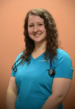 Dr. Danelle Capobianco is an emergency veterinarian at BluePearl Pet Hospital in Buffalo, New York.